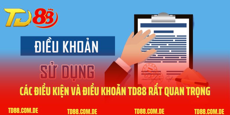 Các điều kiện và điều khoản TD88 rất quan trọng