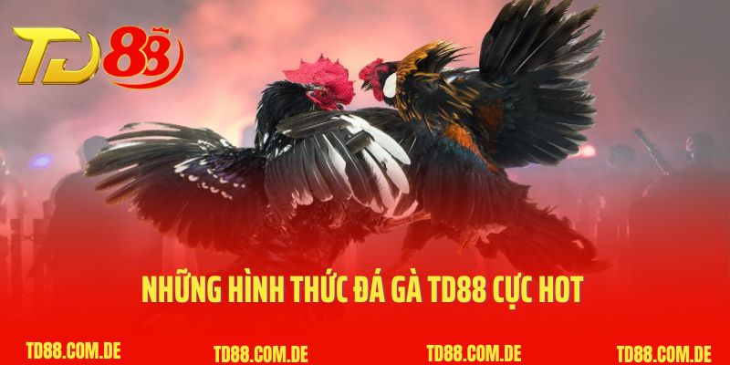 Những hình thức đá gà TD88 cực hot trên thị trường