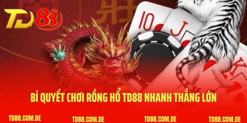 Bí quyết chơi Rồng Hổ TD88 nhanh thắng lớn