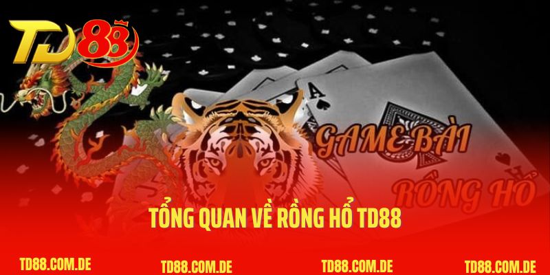 Tổng quan về Rồng Hổ TD88