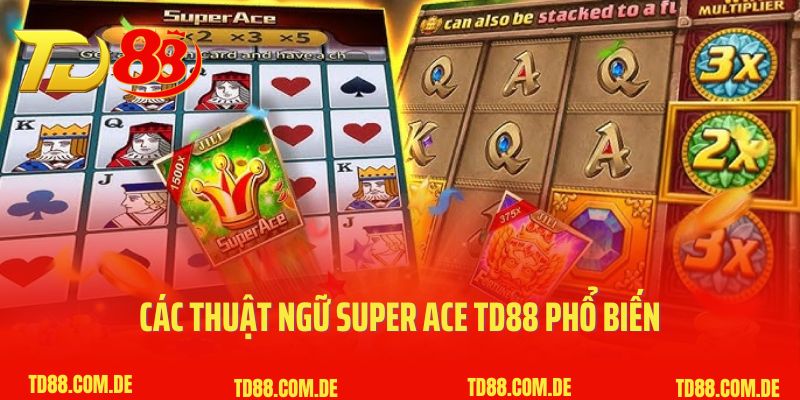 Các thuật ngữ Super Ace TD88 phổ biến