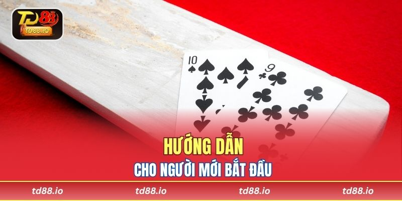 Hướng dẫn cho người mới bắt đầu