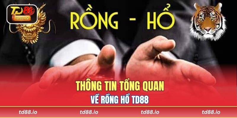 Thông tin tổng quan về Rồng Hổ TD88