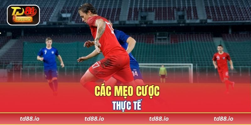 Các mẹo cược thực tế