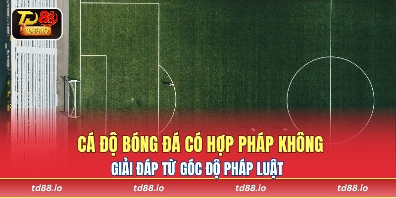 Cá độ bóng đá có hợp pháp không