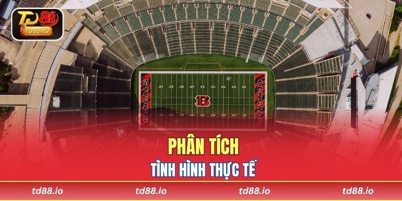 Phân tích tình hình thực tế