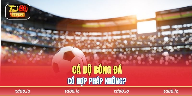 Cá độ bóng đá có hợp pháp không?