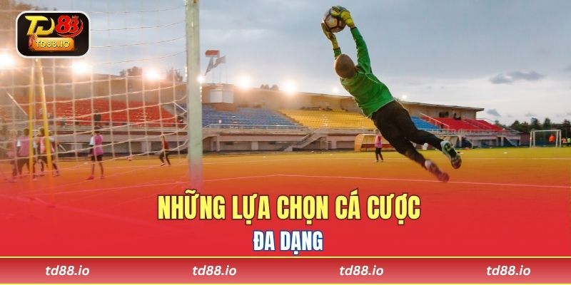 Những lựa chọn cá cược đa dạng